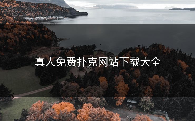 真人免费扑克网站下载大全