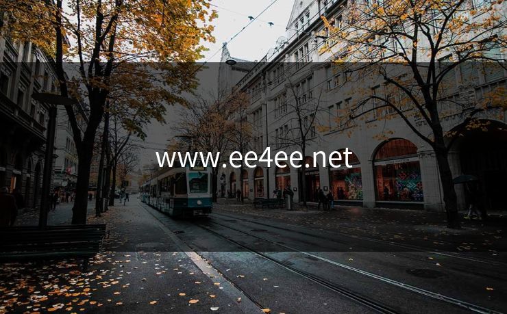 www.ee4ee.net www.ee4ee.net