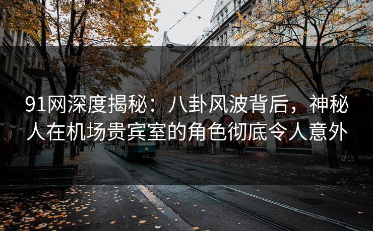 91网深度揭秘：八卦风波背后，神秘人在机场贵宾室的角色彻底令人意外
