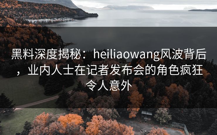 黑料深度揭秘：heiliaowang风波背后，业内人士在记者发布会的角色疯狂令人意外