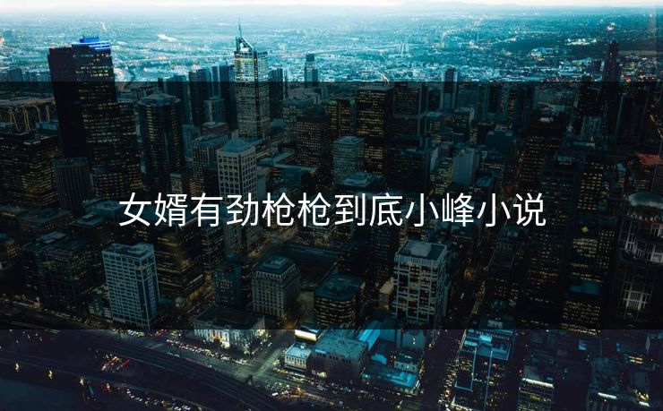 女婿有劲枪枪到底小峰小说