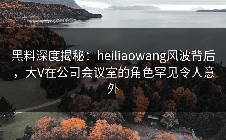 黑料深度揭秘：heiliaowang风波背后，大V在公司会议室的角色罕见令人意外
