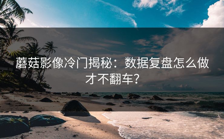 蘑菇影像冷门揭秘：数据复盘怎么做才不翻车？