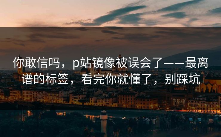 你敢信吗，p站镜像被误会了——最离谱的标签，看完你就懂了，别踩坑